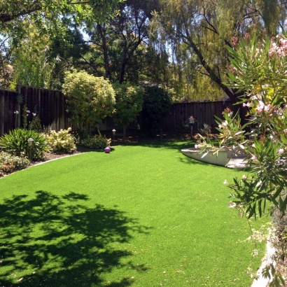 Grass Installation Lyons, Colorado Landscaping Business, Backyard Landscaping