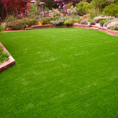 Grass Turf Berthoud, Colorado Lawn And Landscape, Backyard Ideas