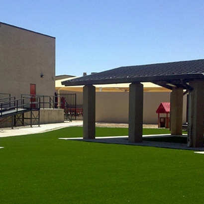 Grass Turf Niwot, Colorado Landscaping Business, Commercial Landscape