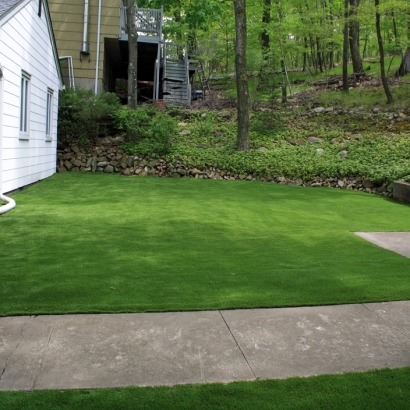 Grass Turf Olathe, Colorado Landscaping, Front Yard Landscaping Ideas