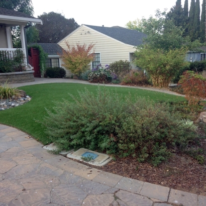 Grass Turf Sanford, Colorado Landscaping Business, Front Yard