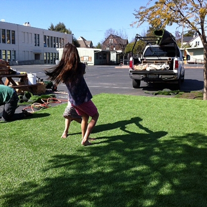 Green Lawn Monte Vista, Colorado Lawn And Garden, Commercial Landscape