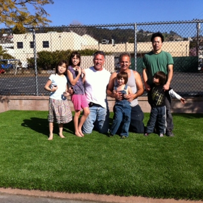 Green Lawn Palisade, Colorado Backyard Playground, Commercial Landscape