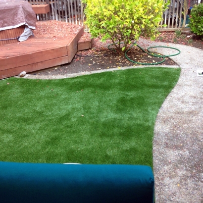 Lawn Services Coal Creek, Colorado City Landscape, Backyard Ideas