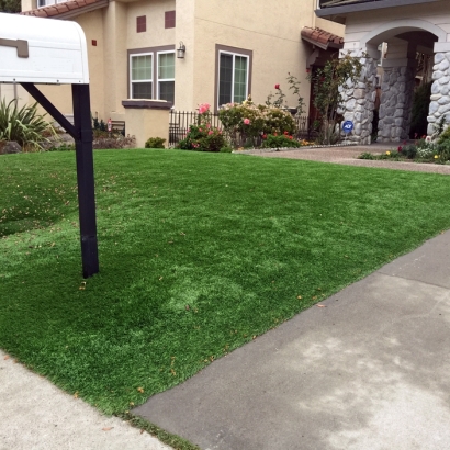 Lawn Services Pine Brook Hill, Colorado Lawn And Garden, Front Yard Design