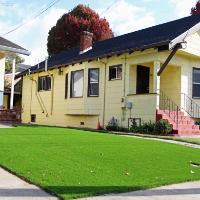 Outdoor Carpet Avondale, Colorado City Landscape, Front Yard Ideas