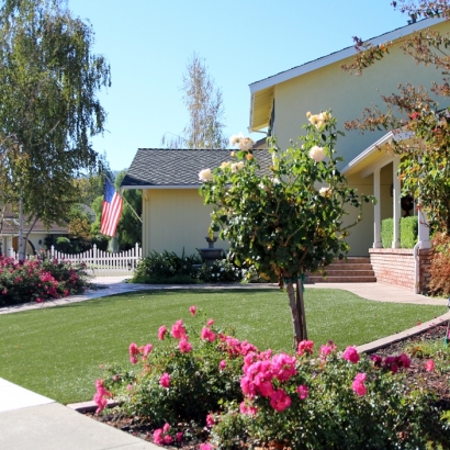 Outdoor Carpet Copper Mountain, Colorado City Landscape, Front Yard Landscaping Ideas