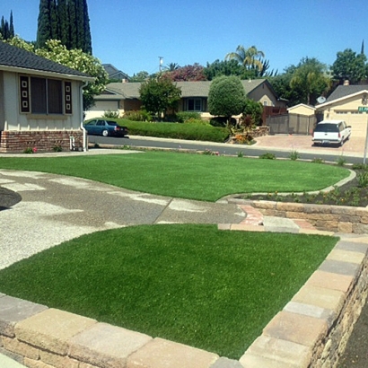 Outdoor Carpet Nucla, Colorado Landscape Ideas