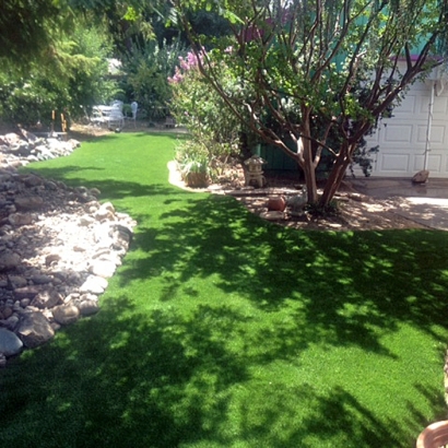 Outdoor Carpet Olathe, Colorado Lawns, Backyard Garden Ideas