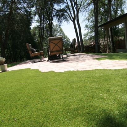 Outdoor Carpet Otis, Colorado Landscaping Business, Backyards