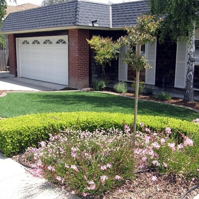 Outdoor Carpet Red Cliff, Colorado Roof Top, Small Front Yard Landscaping