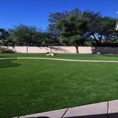 Plastic Grass Blue River, Colorado Lawn And Landscape, Front Yard Ideas