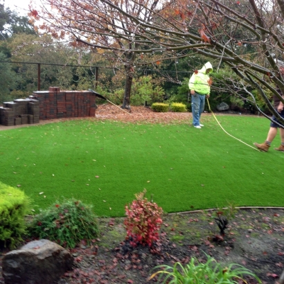 Plastic Grass Chacra, Colorado Lawn And Landscape, Backyard Design