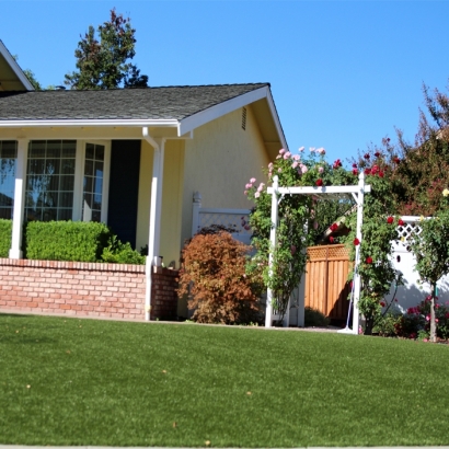 Plastic Grass Kersey, Colorado Design Ideas, Landscaping Ideas For Front Yard