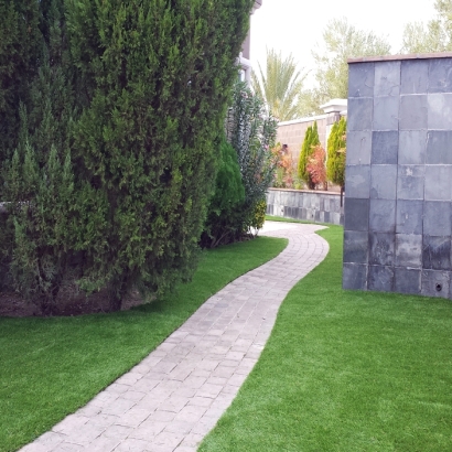 Plastic Grass Ovid, Colorado Home And Garden, Commercial Landscape