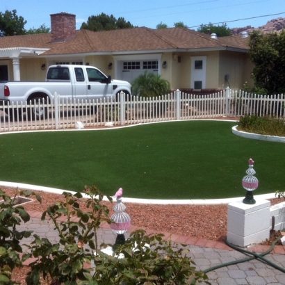 Synthetic Grass Cost Alma, Colorado Landscaping, Front Yard