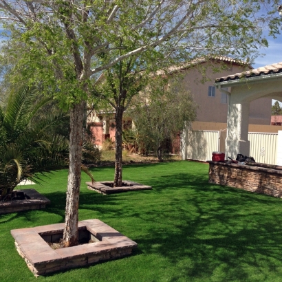 Synthetic Grass Manassa, Colorado City Landscape, Small Front Yard Landscaping