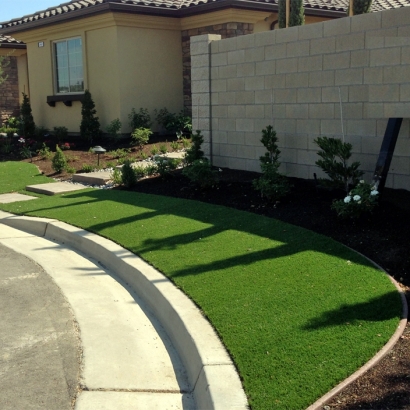 Synthetic Grass Minturn, Colorado Landscape Ideas, Front Yard