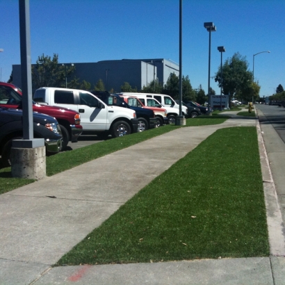 Synthetic Lawn Erie, Colorado Landscape Rock, Commercial Landscape