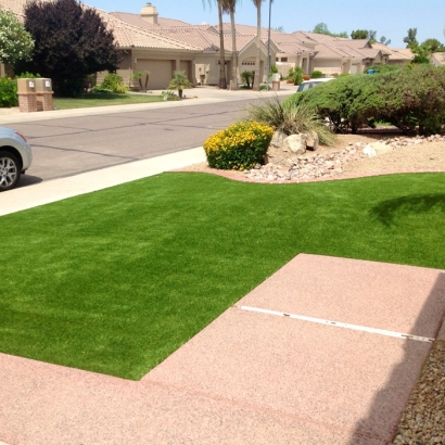 Synthetic Lawn Hillrose, Colorado Roof Top, Front Yard Landscape Ideas