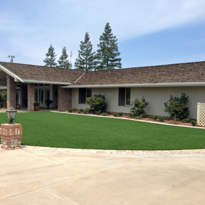 Synthetic Turf Avon, Colorado Rooftop, Landscaping Ideas For Front Yard