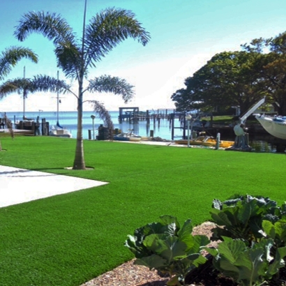 Synthetic Turf Fleming, Colorado Design Ideas, Backyard Makeover