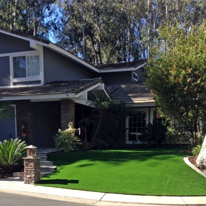 Synthetic Turf Gleneagle, Colorado Lawn And Garden, Front Yard Landscape Ideas