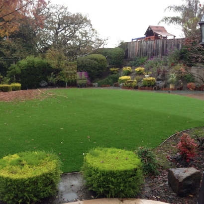 Synthetic Turf Hotchkiss, Colorado Landscaping, Backyard Garden Ideas