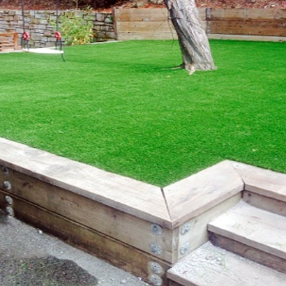 Synthetic Turf Platteville, Colorado Landscape Ideas, Beautiful Backyards