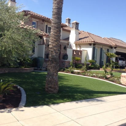 Synthetic Turf Silver Cliff, Colorado Design Ideas, Small Front Yard Landscaping