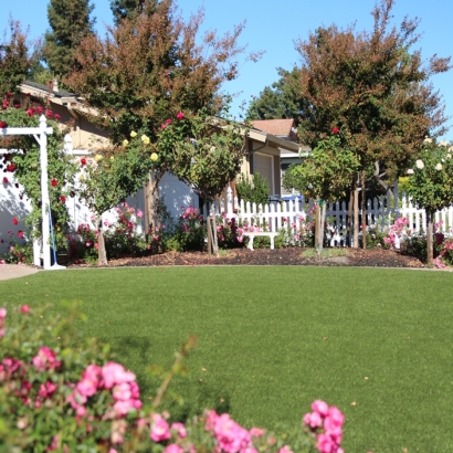 Synthetic Turf Supplier Monte Vista, Colorado Landscaping Business, Front Yard Landscaping