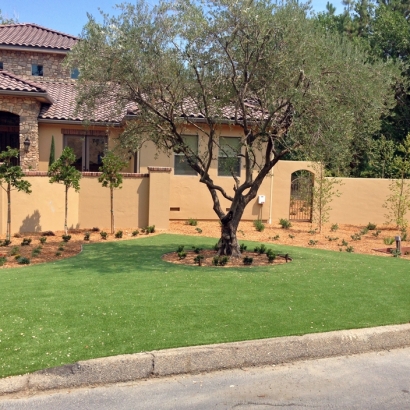 Synthetic Turf Supplier Vail, Colorado Rooftop, Small Front Yard Landscaping