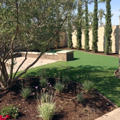 Turf Grass Granby, Colorado Garden Ideas, Backyard