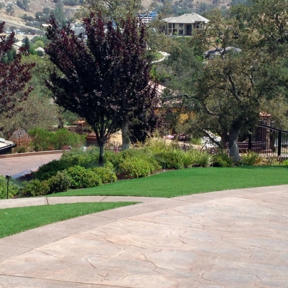 Turf Grass Penrose, Colorado Backyard Deck Ideas, Front Yard Design