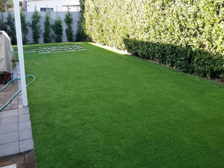 Artificial Grass Carpet Air Force Academy, Colorado Grass For Dogs, Backyard Makeover