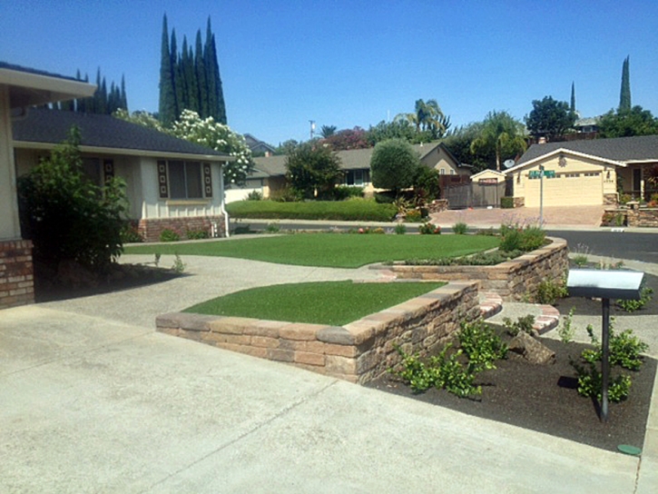 Artificial Grass Carpet Alamosa East, Colorado Landscape Design, Front Yard Landscape Ideas