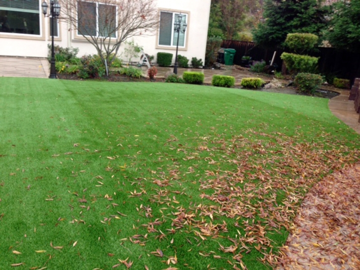 Artificial Grass Carpet Berkley, Colorado Lawns, Beautiful Backyards