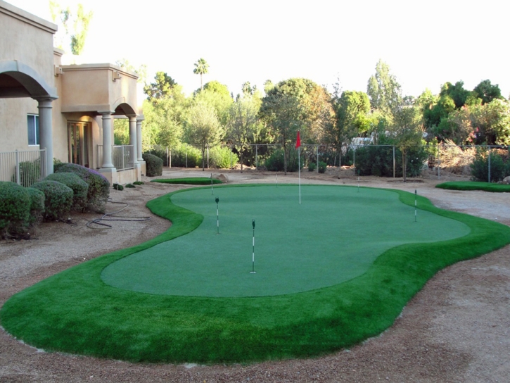 Artificial Grass Carpet Denver, Colorado Putting Greens, Backyard Design