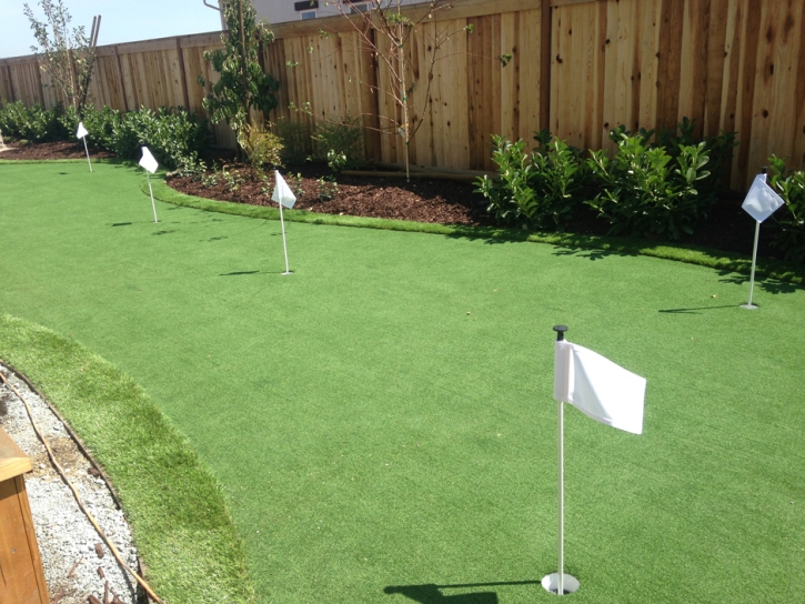 Artificial Grass Carpet Flagler, Colorado Design Ideas, Backyard Landscaping