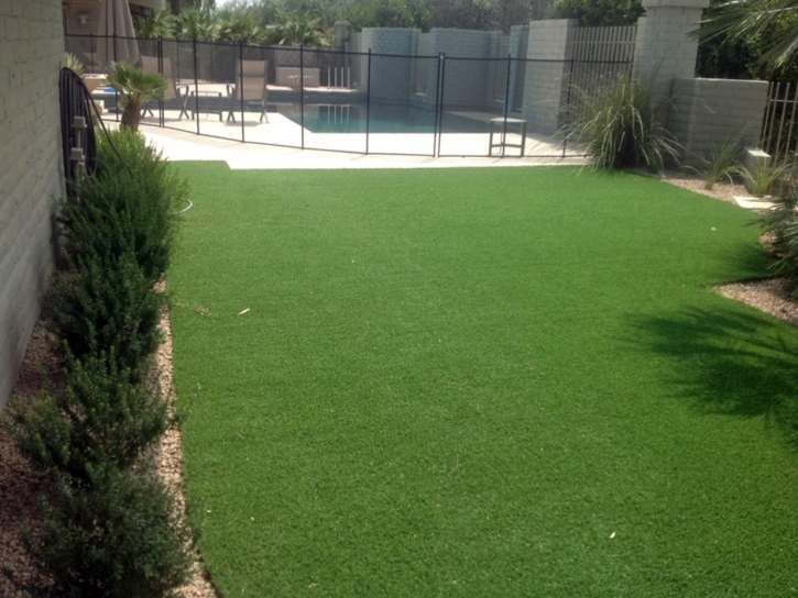 Artificial Grass Carpet Fruitvale, Colorado Landscape Design, Backyard Landscape Ideas