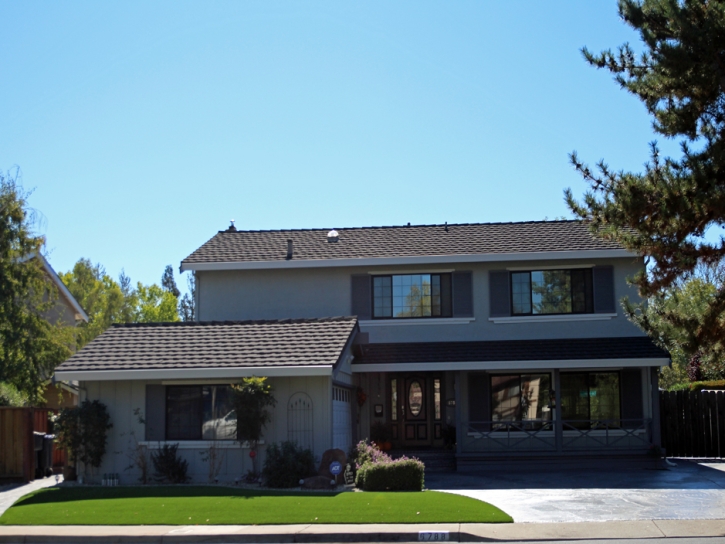 Artificial Grass Carpet Grand View Estates, Colorado Garden Ideas, Front Yard