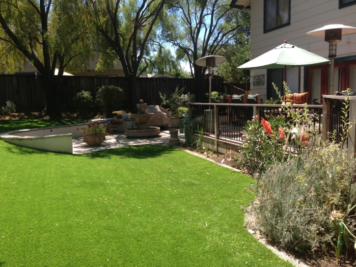 Artificial Grass Carpet Merino, Colorado Home And Garden, Backyard Landscaping