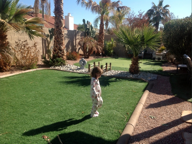 Artificial Grass Carpet Paragon Estates, Colorado Home And Garden, Backyard Landscape Ideas