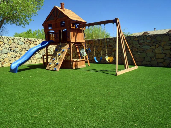 Artificial Grass Carpet West Pleasant View, Colorado Lawn And Garden, Backyard