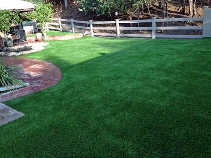 Artificial Grass Castle Pines North, Colorado Dog Hospital, Backyard Makeover