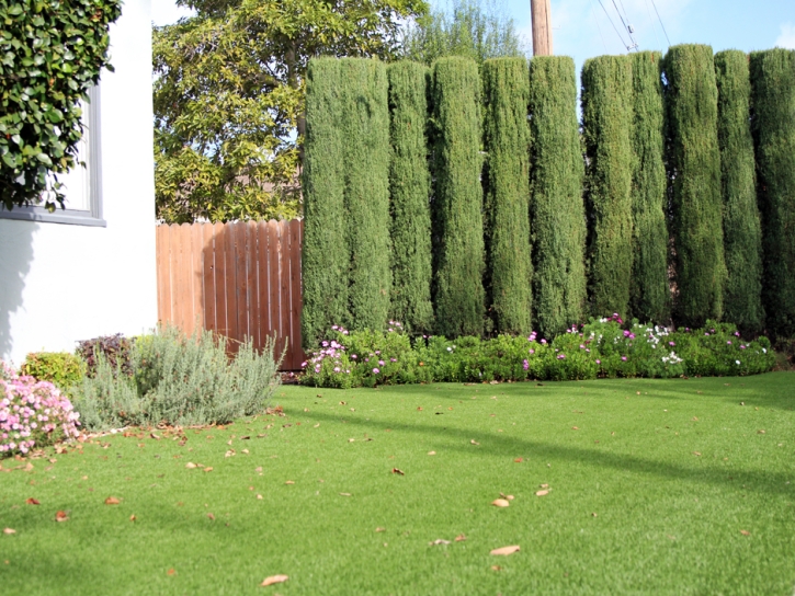 Artificial Grass Installation Campion, Colorado Gardeners, Front Yard Landscaping