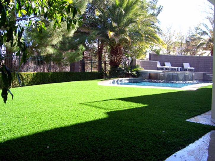 Artificial Grass Installation Cherry Hills Village, Colorado Landscape Photos, Backyard Landscaping Ideas