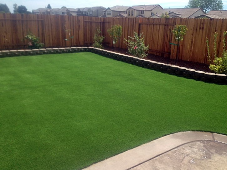 Artificial Grass Installation Clifton, Colorado Paver Patio, Backyard Ideas