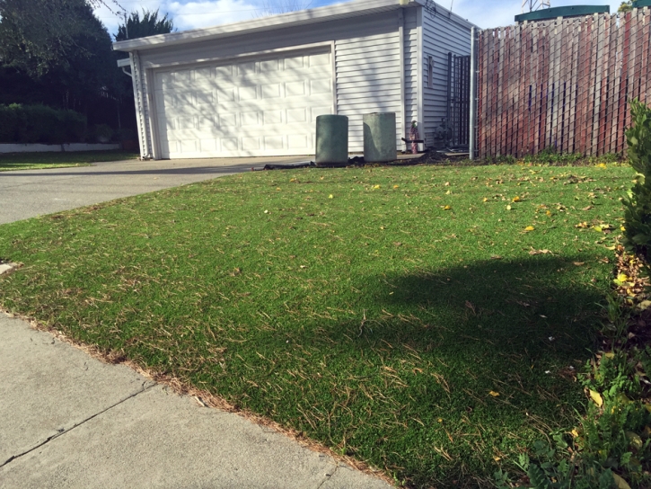 Artificial Grass Installation Florence, Colorado Landscaping, Front Yard Design