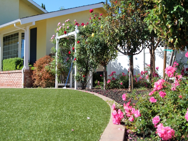 Artificial Grass Installation Green Mountain Falls, Colorado Paver Patio, Front Yard Ideas